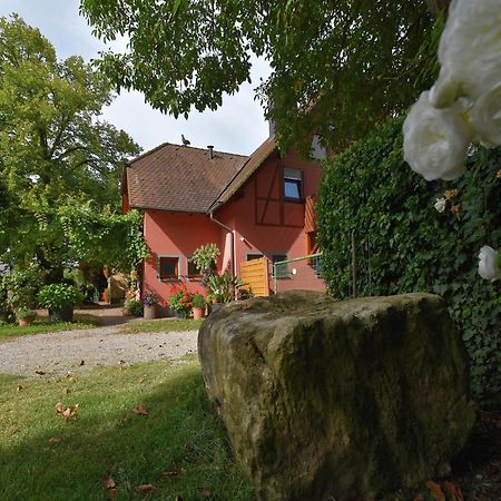 Countryside Apartment With Garden Schallstadt Eksteriør bilde