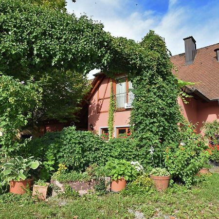 Countryside Apartment With Garden Schallstadt Eksteriør bilde