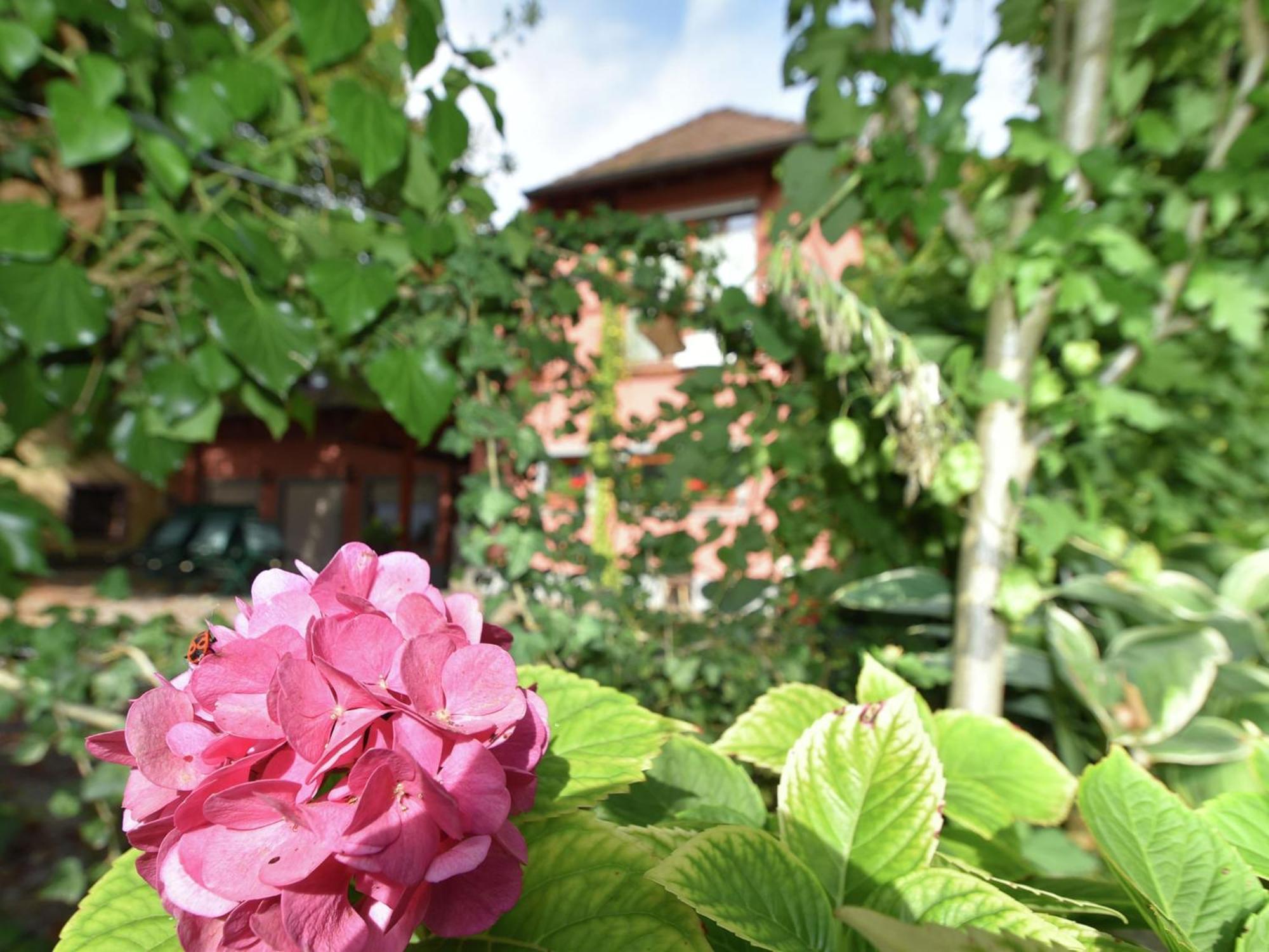 Countryside Apartment With Garden Schallstadt Eksteriør bilde