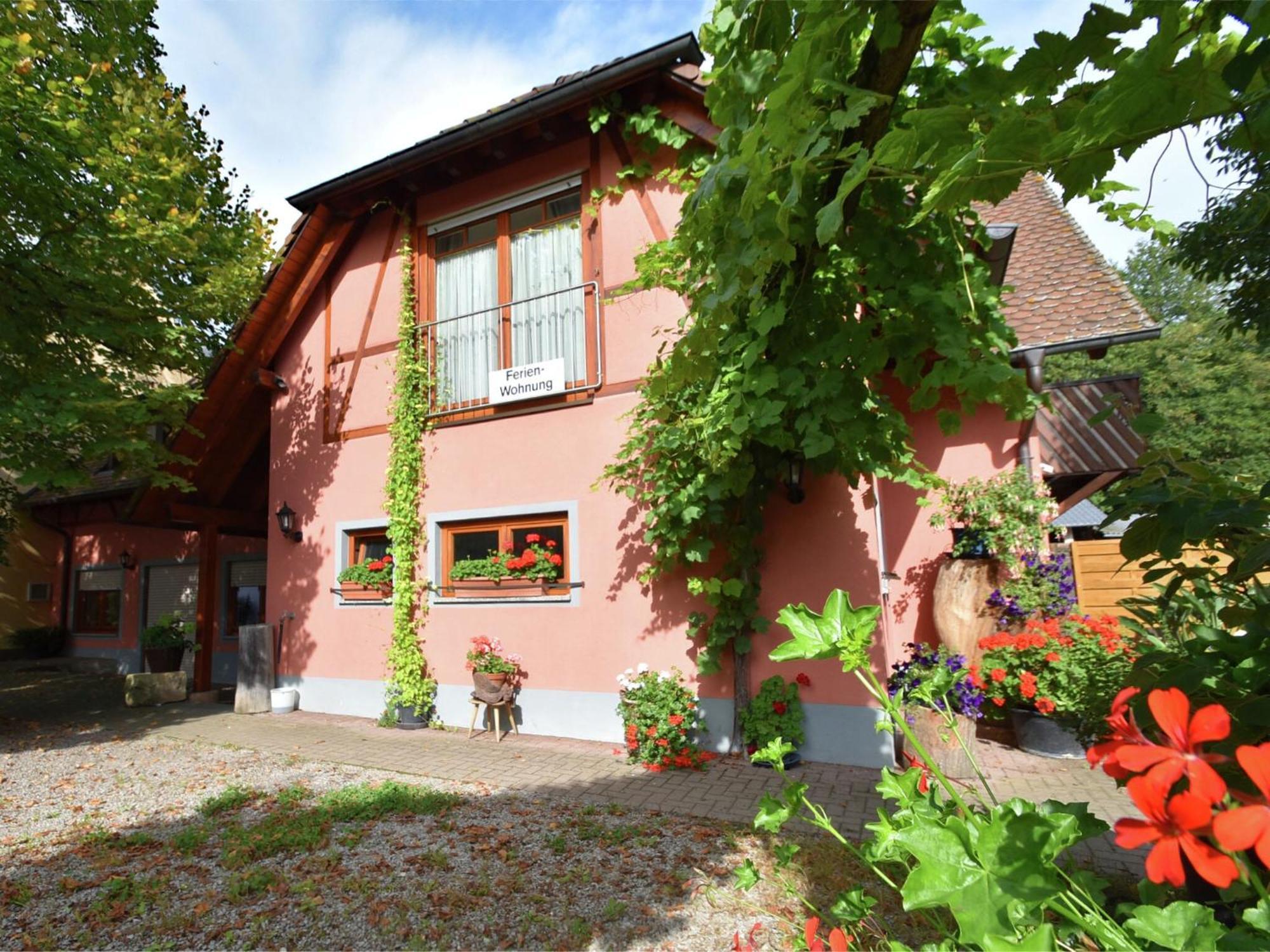 Countryside Apartment With Garden Schallstadt Eksteriør bilde
