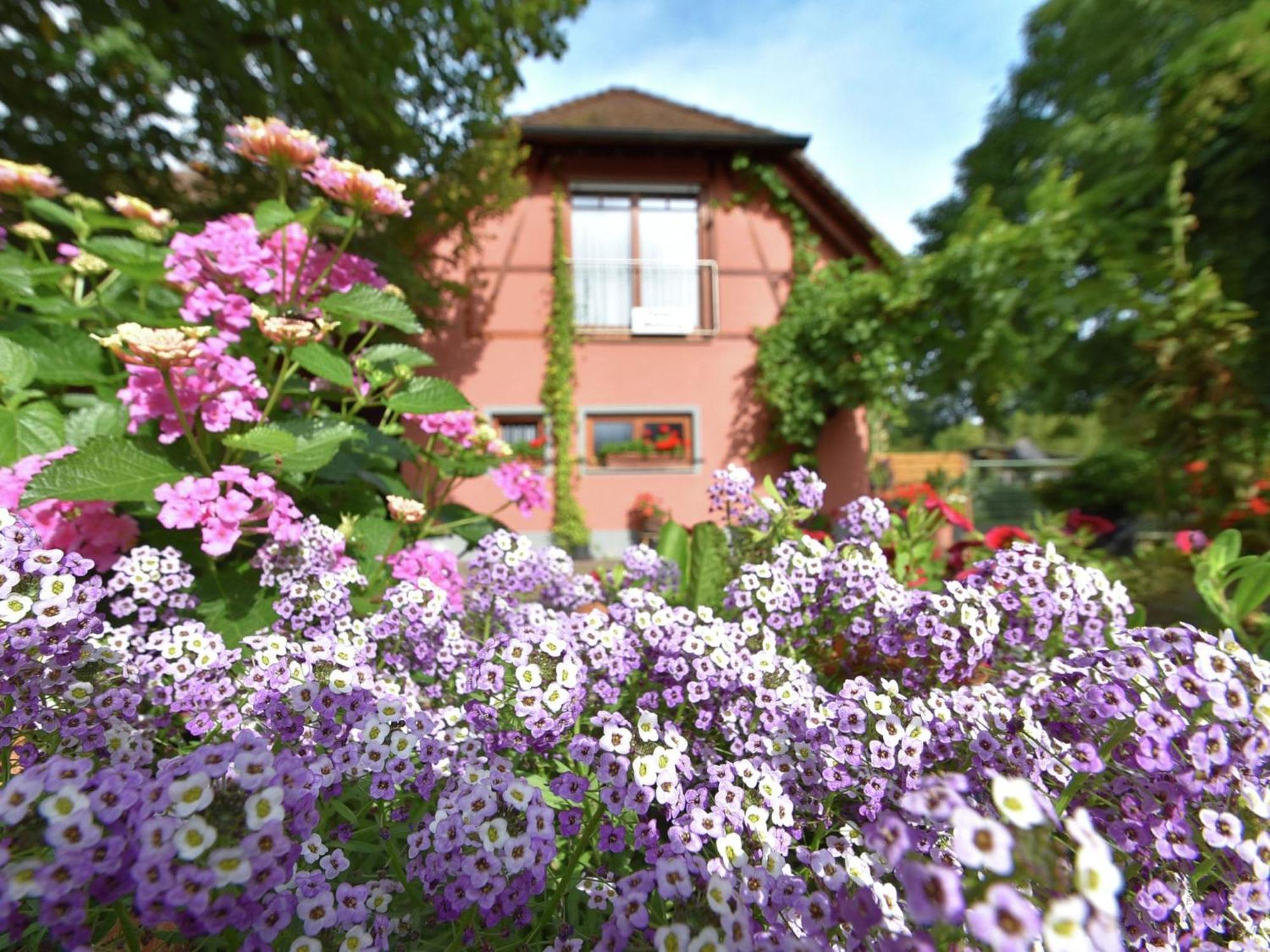 Countryside Apartment With Garden Schallstadt Eksteriør bilde