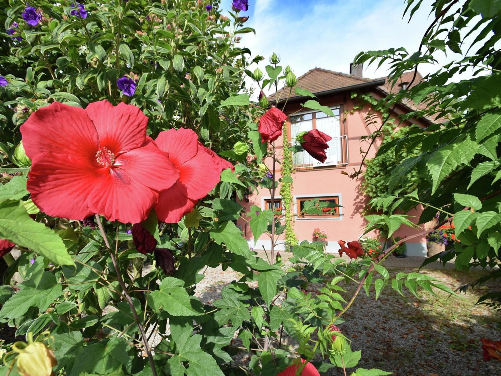 Countryside Apartment With Garden Schallstadt Eksteriør bilde