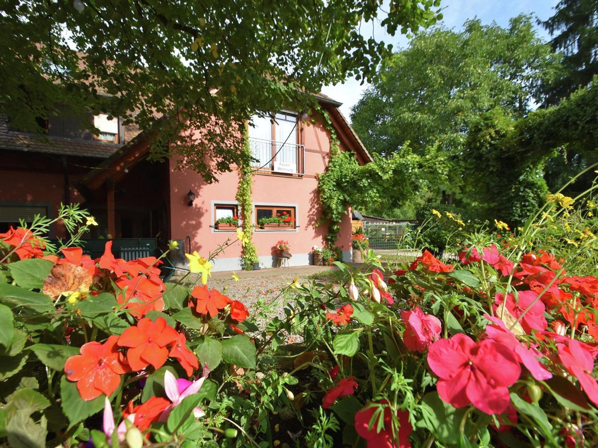 Countryside Apartment With Garden Schallstadt Eksteriør bilde
