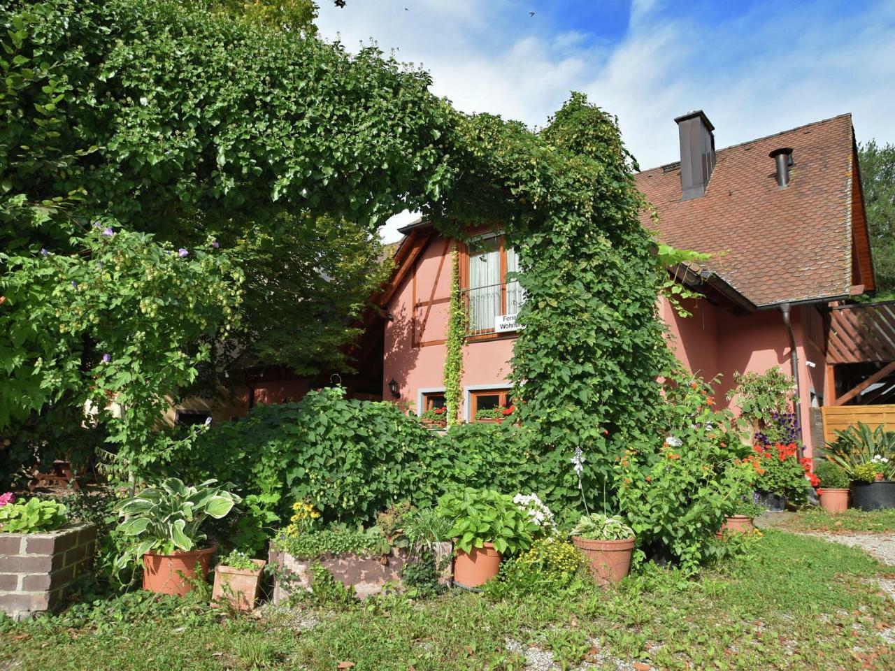 Countryside Apartment With Garden Schallstadt Eksteriør bilde